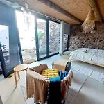 Eco Casa Tierra *